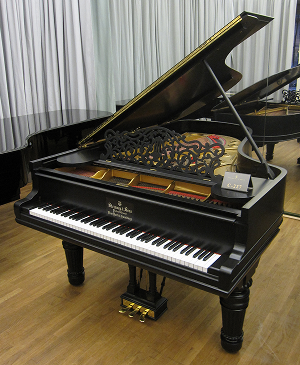 Organ